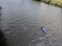 Mainschwimmen Juni 2026